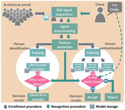 Challenges and Future Perspectives on Electroencephalogram-Based Biometrics in Person Recognition